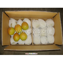 Chinese Fresh Fragrant Pear for Sale